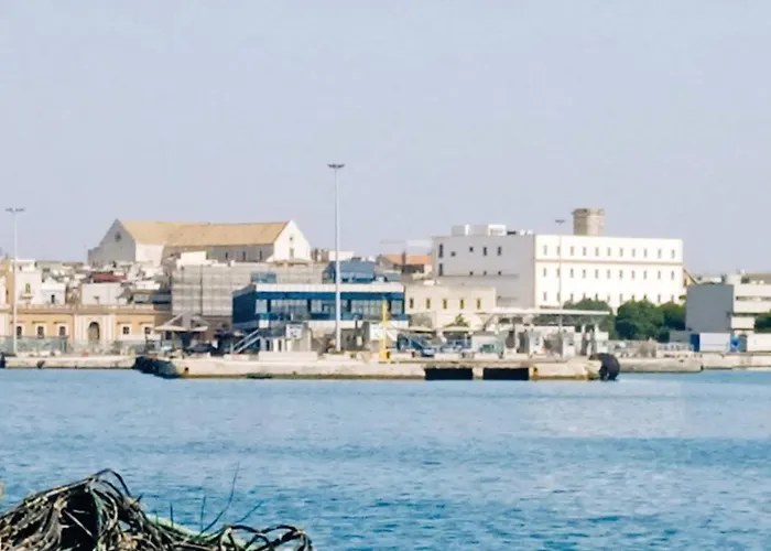 The Nest Of Envy Bari